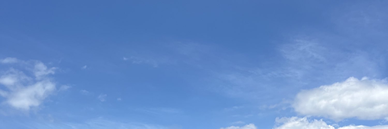 stolfeliz's profile banner image