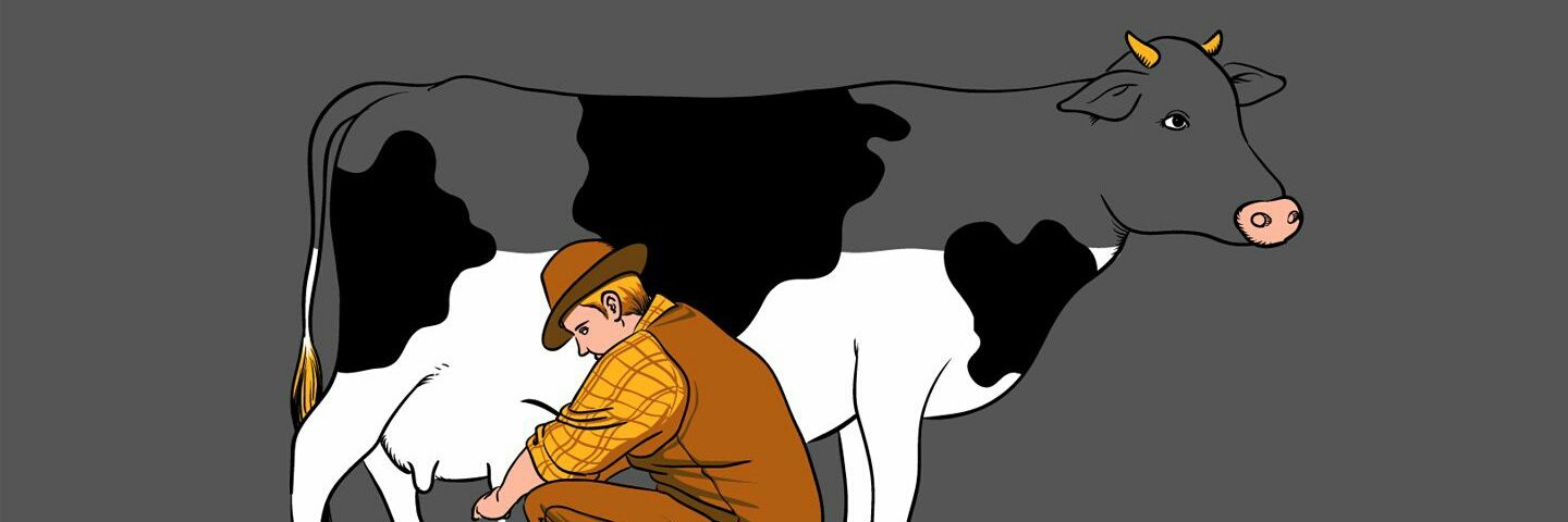 STAVKA_UFC's profile banner image