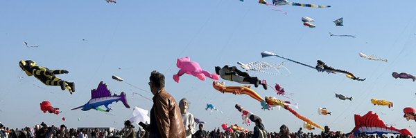 drveneko Profile Banner