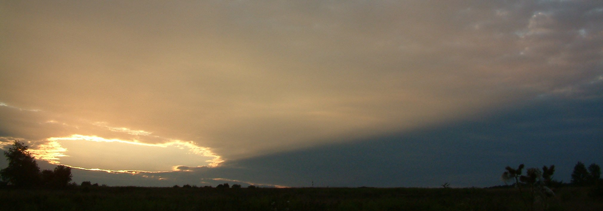 Stefan Scherer banner