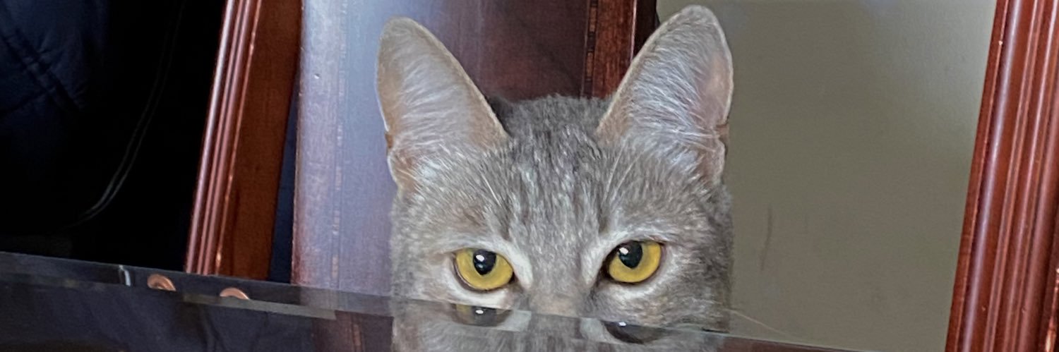 _mirianbar's profile banner image