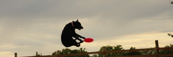 FisherTyson Profile Banner