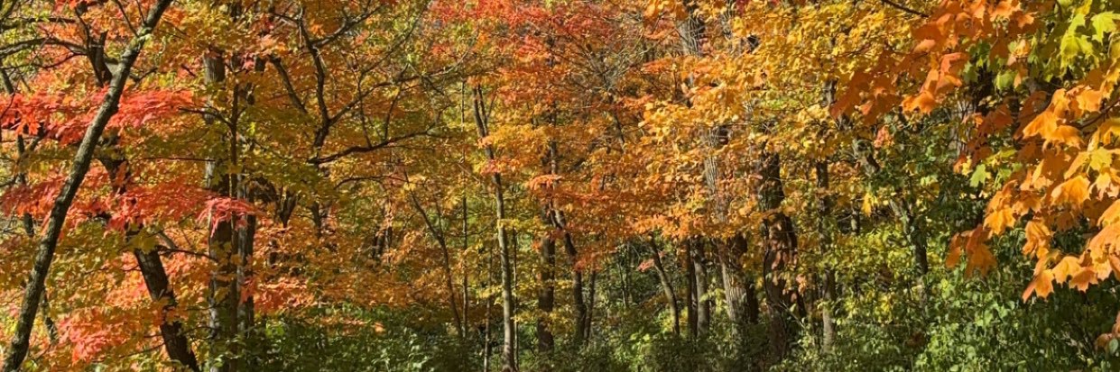 Morgan Douglass banner
