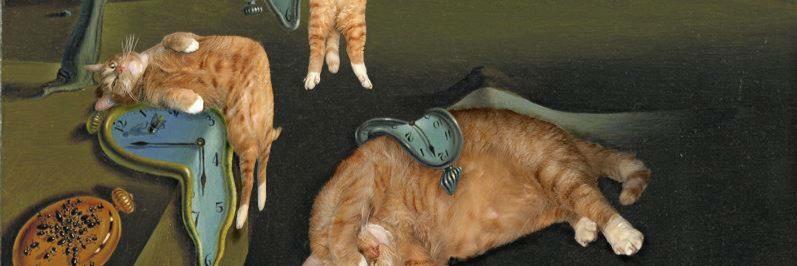 Catronicator's profile banner image