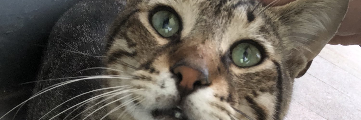 tfurkan10's profile banner image