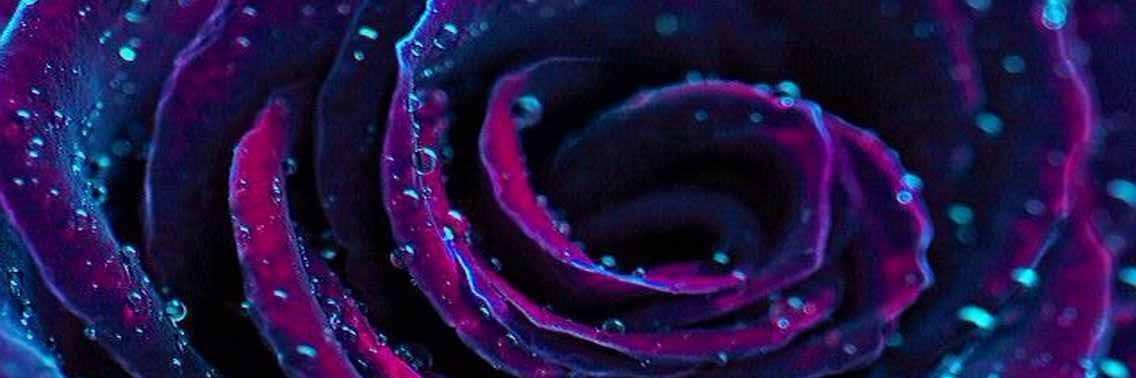 Tabazoid's profile banner image
