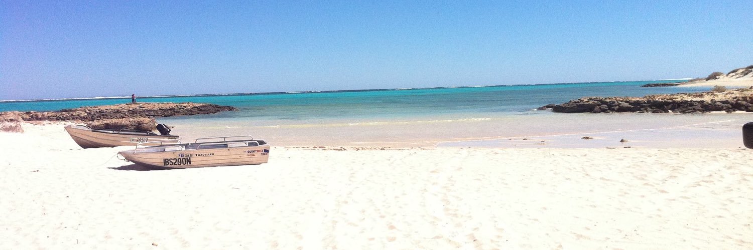 Tim Hollingsworth banner