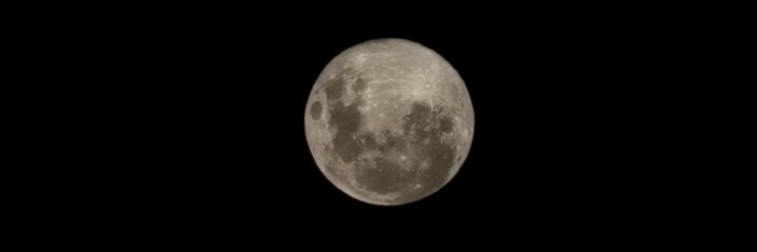AgustinaMunt's profile banner image