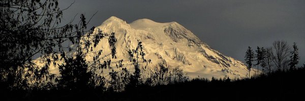 RAFellows1 Profile Banner