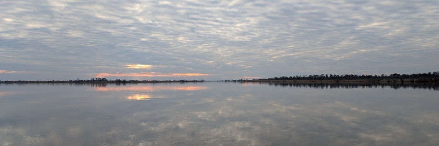 stevenswall's profile banner image