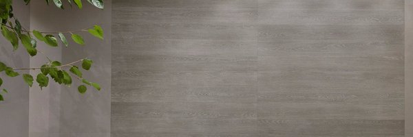 amestile Profile Banner