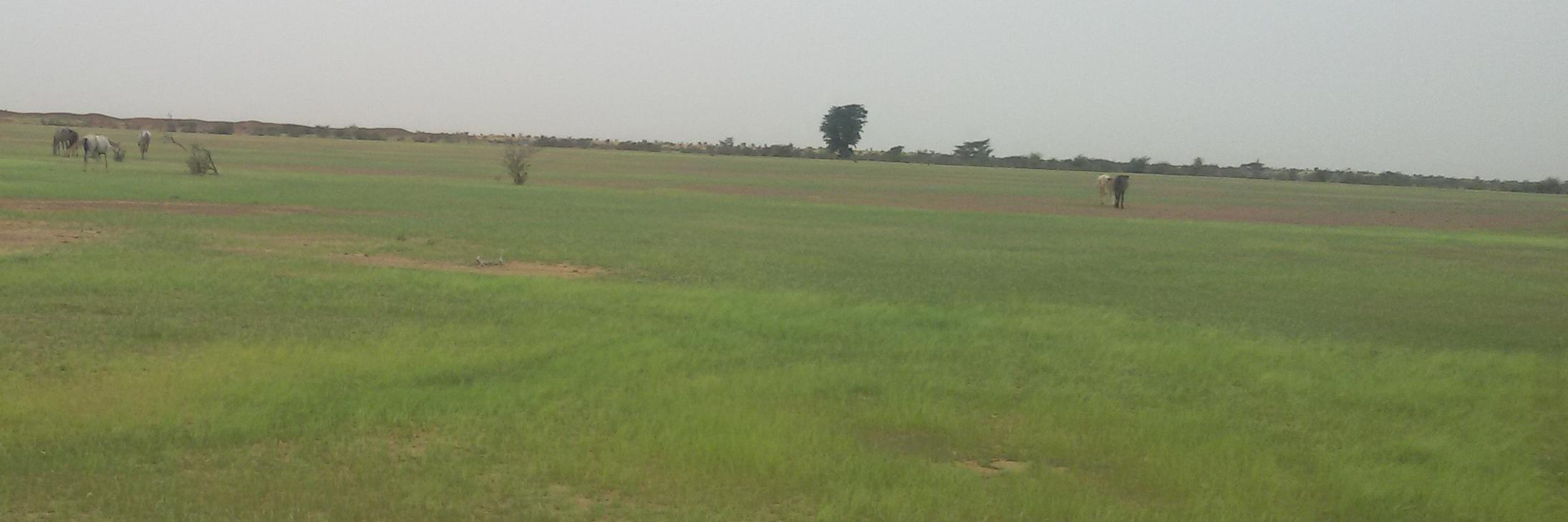 abdoulcheikh65's profile banner image