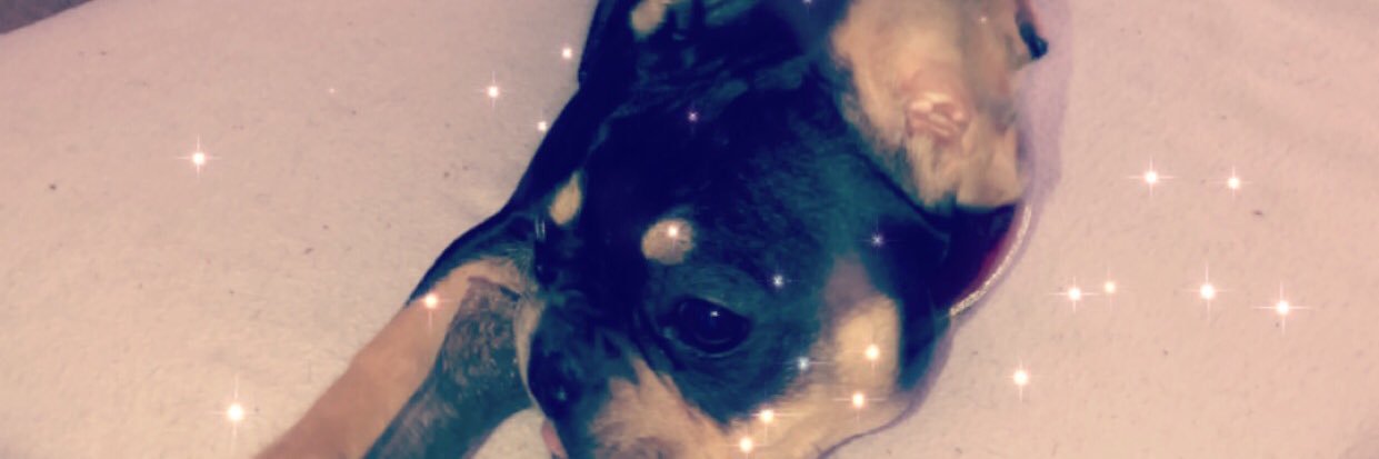 shawtyadime03's profile banner image