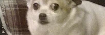 Flapjack987's profile banner image