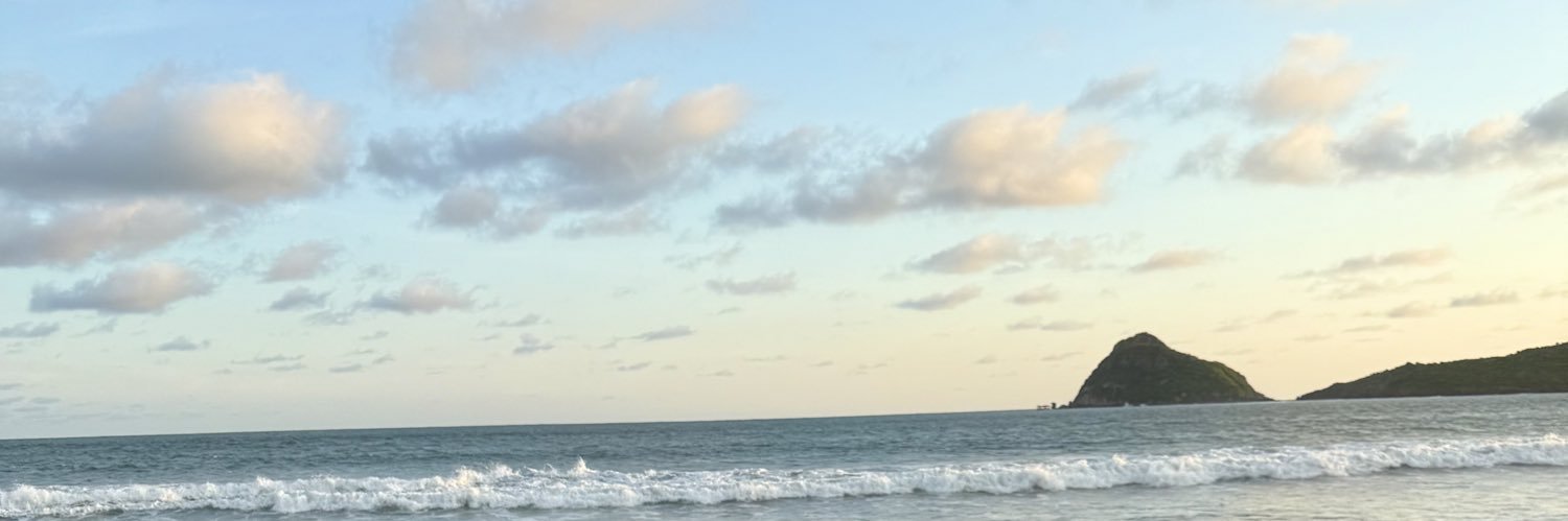 Rheductive's profile banner image