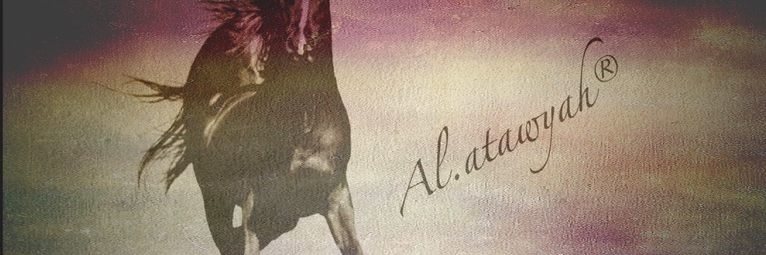 rd1a7's profile banner image