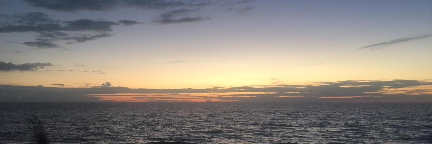 FitOilsMomma's profile banner image