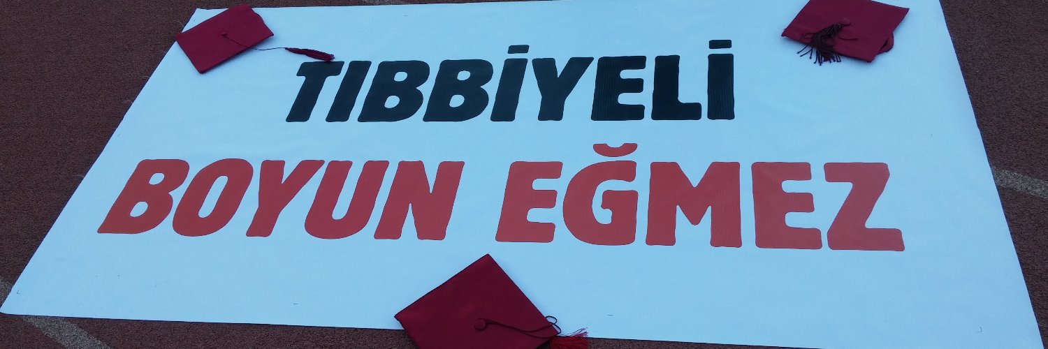 emekgulerdem's profile banner image