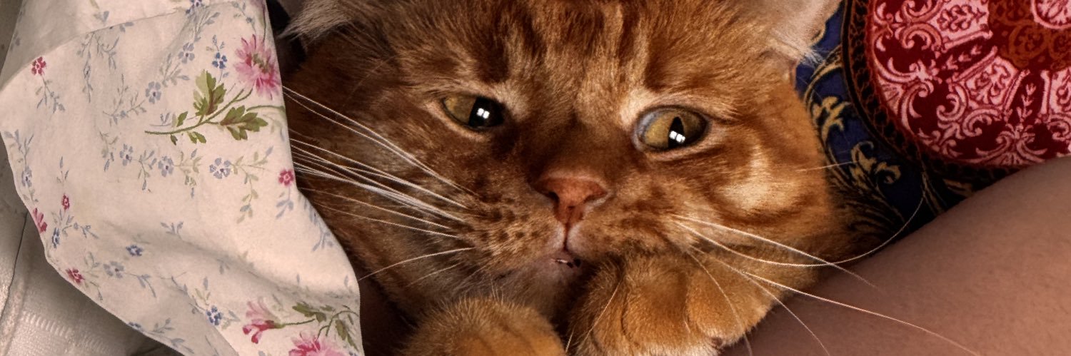 mcatakh's profile banner image