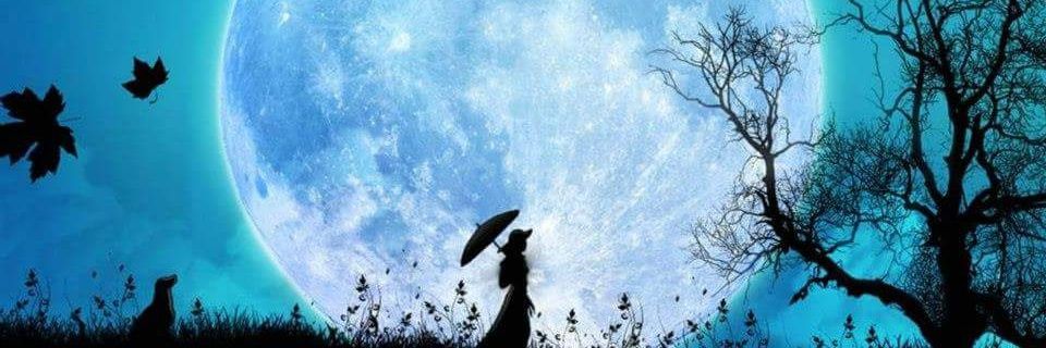 ElleMoon92's profile banner image