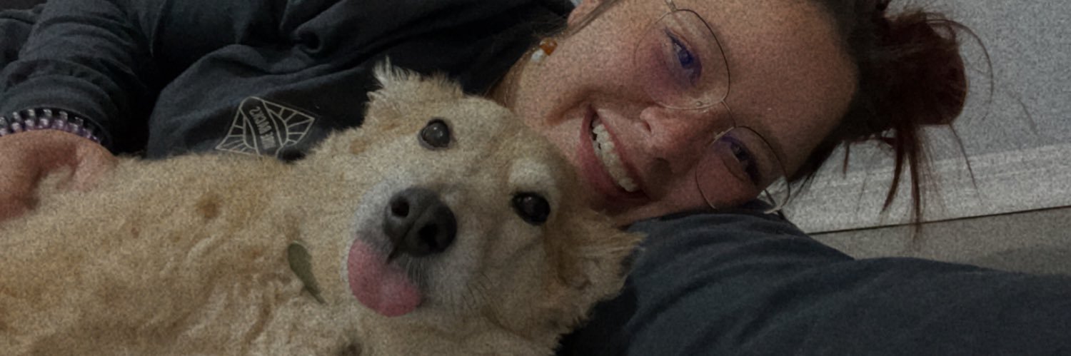 EmilyyNiper's profile banner image