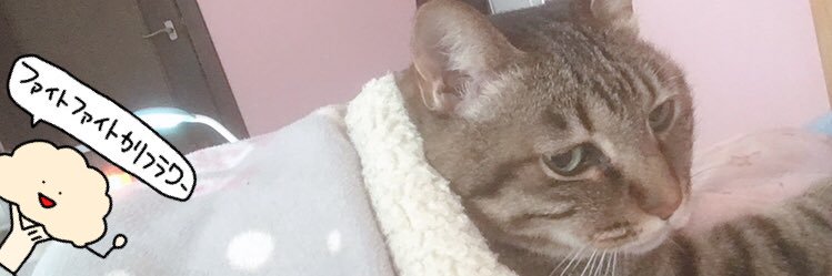 urunyan2525's profile banner image
