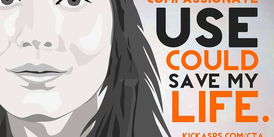 willowcrows's profile banner image
