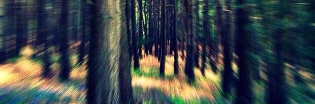 pablobaum11's profile banner image