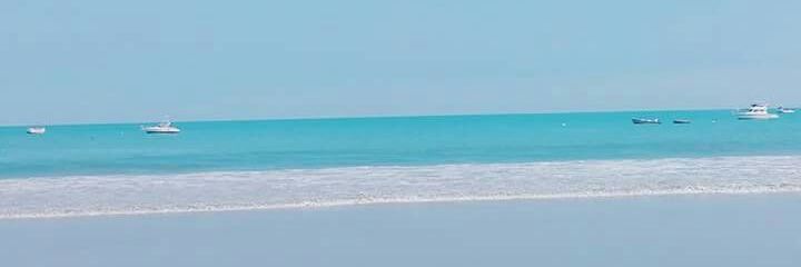 AngelaCernaS's profile banner image