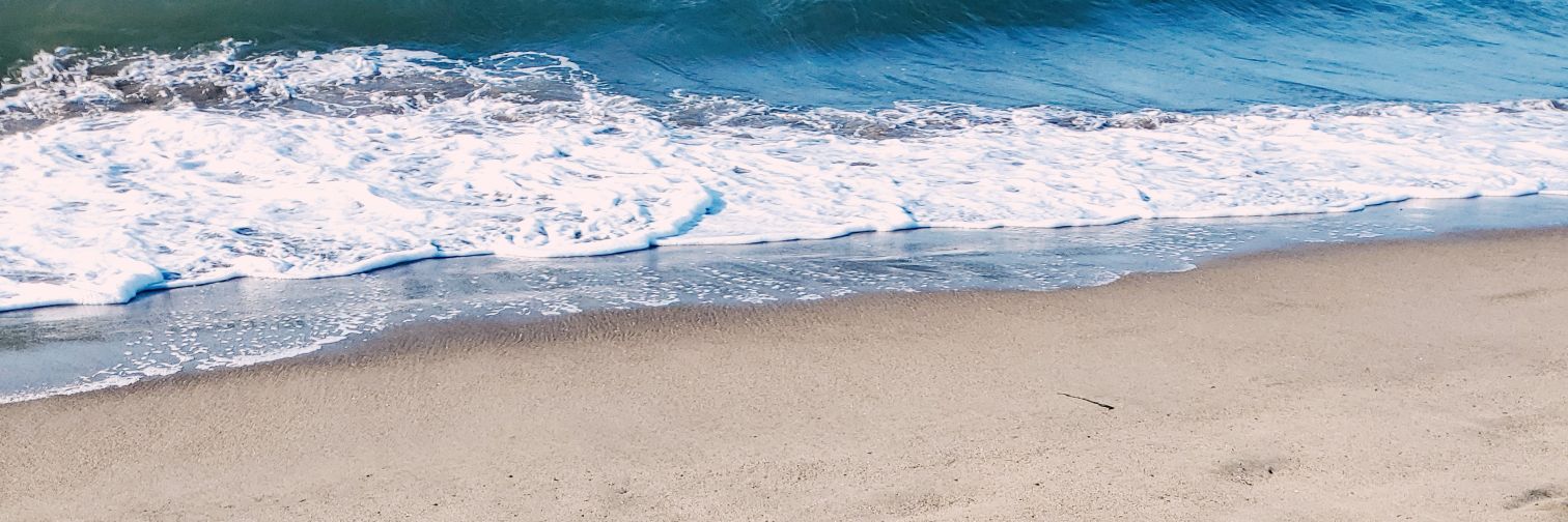 BlueBird_DSZN banner