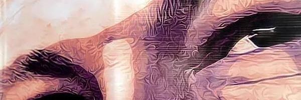 Labellareina65's profile banner image