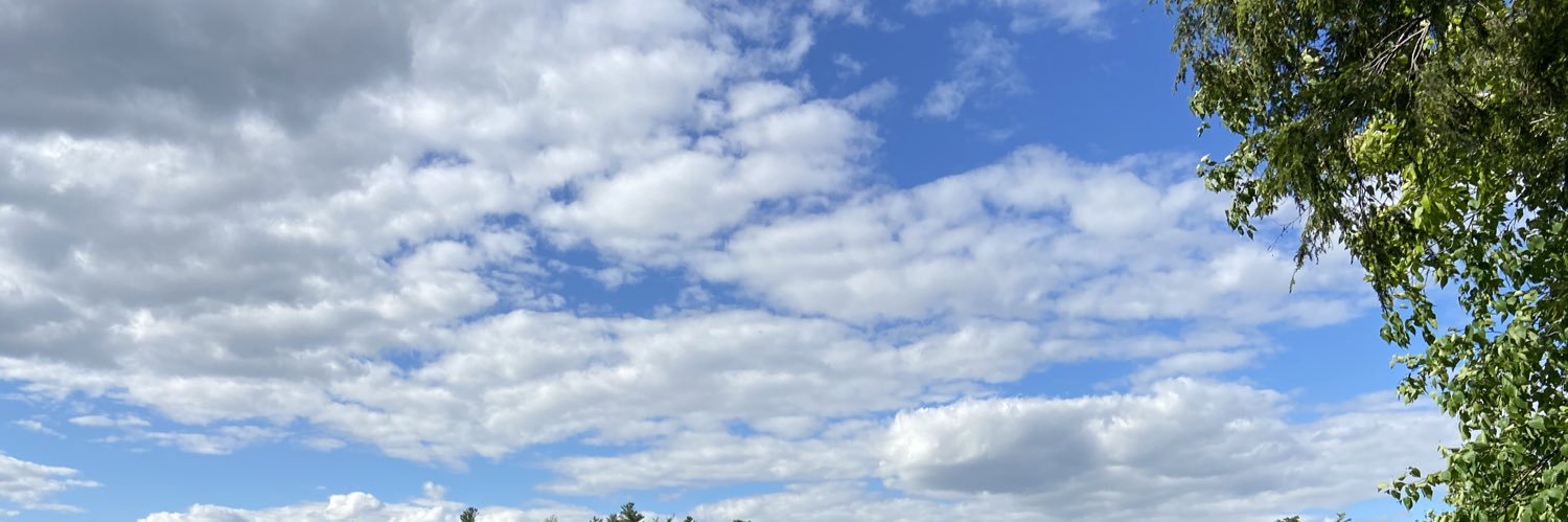 drunkenswami123's profile banner image