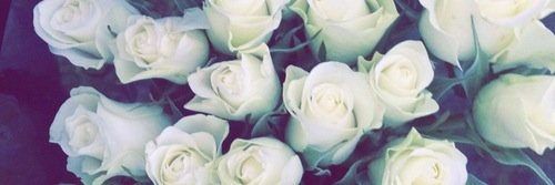 xoxojuleee's profile banner image