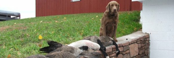 motaybechtel Profile Banner