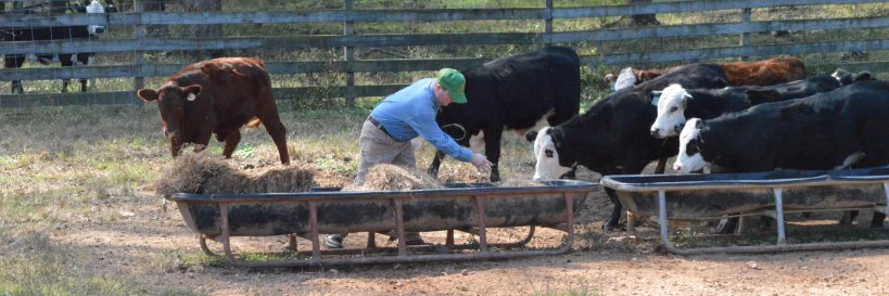 Talmadge East banner