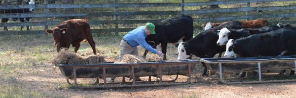 taleast Profile Banner