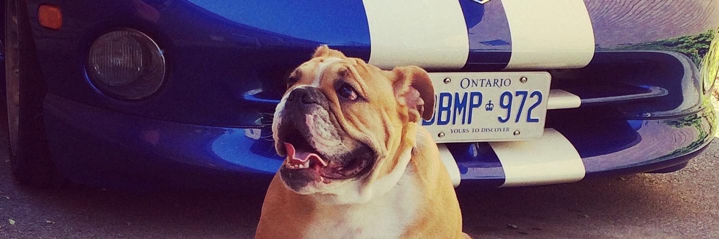 Ⓜ️archese banner