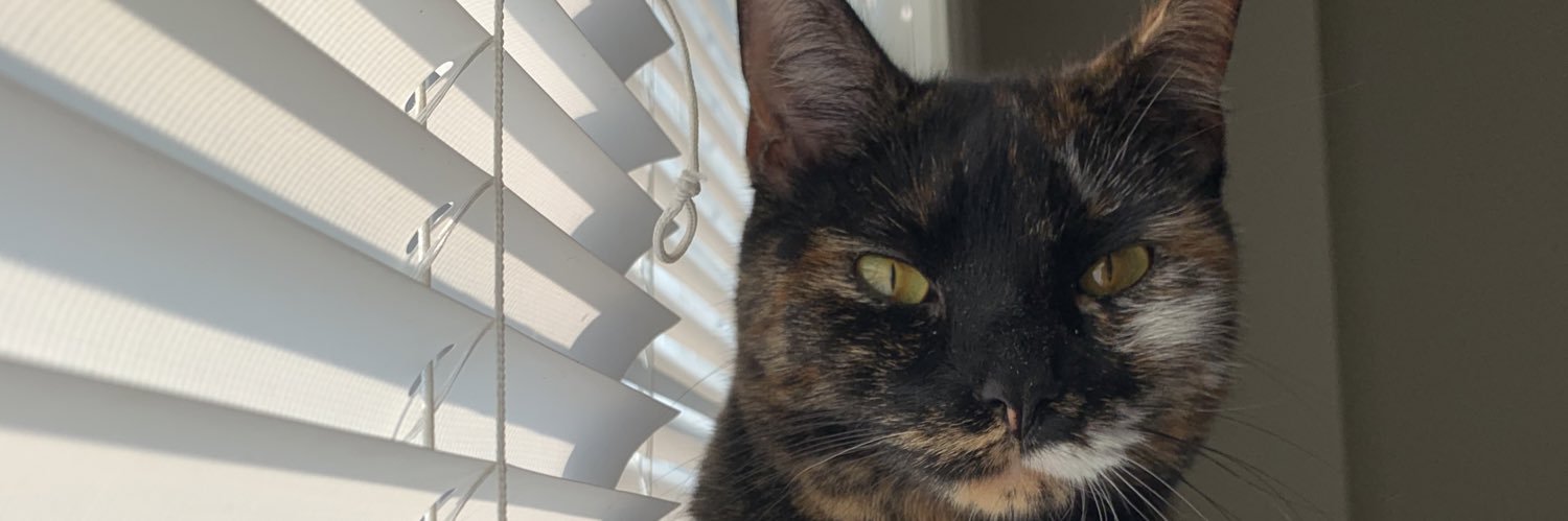 Mikayla banner