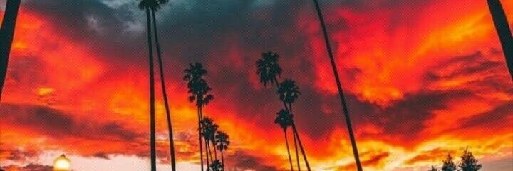 nicoforte22's profile banner image