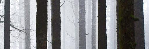 scottthomasport's profile banner image