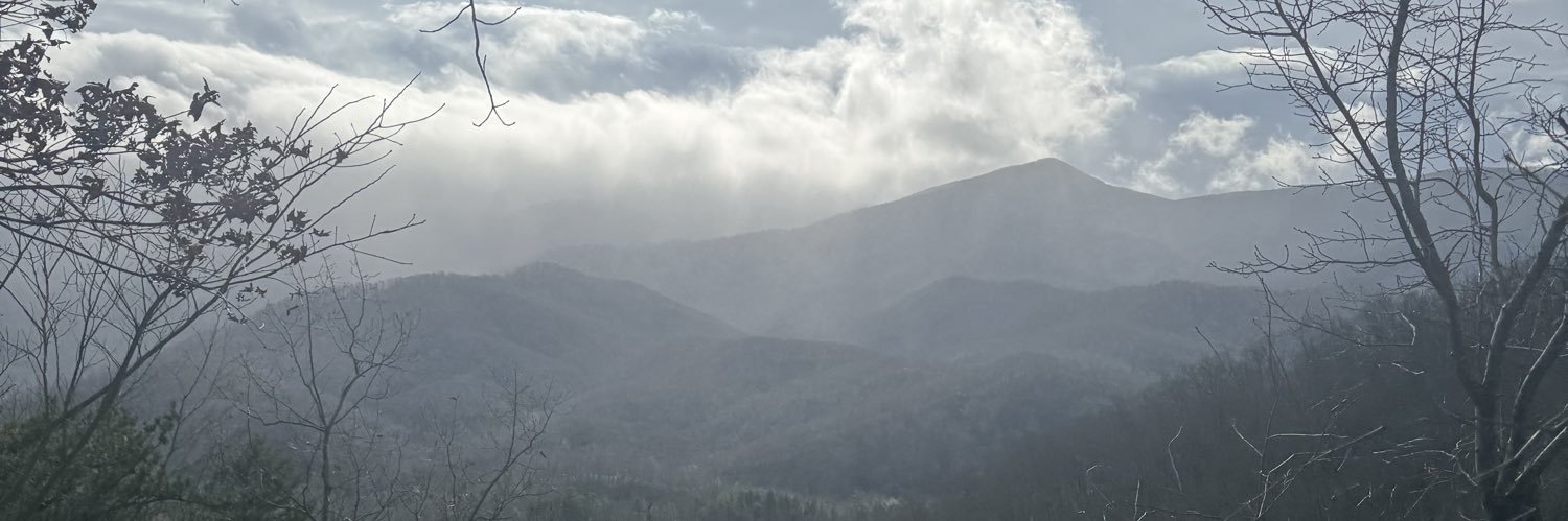 mchlrssng's profile banner image