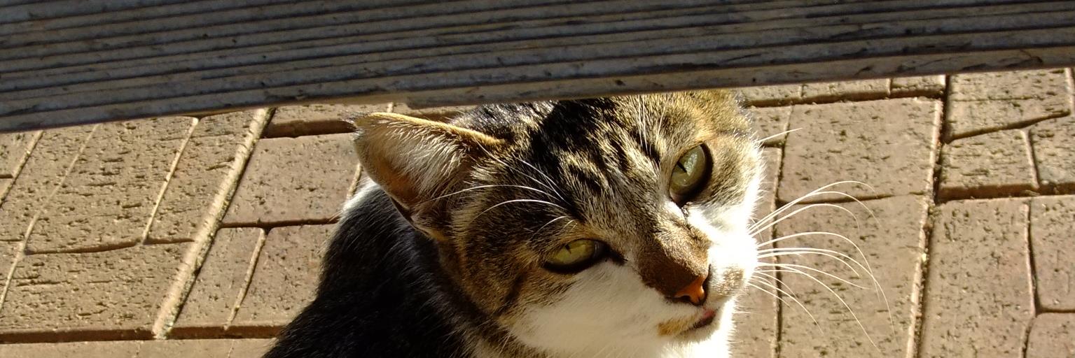 rittar614's profile banner image