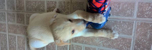 cr23_unir Profile Banner