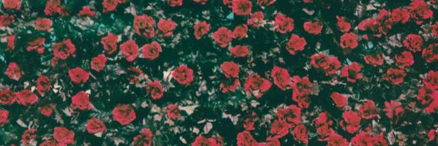 Know_Ems's profile banner image