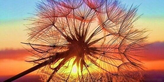 Anita M. Garza 💜 banner