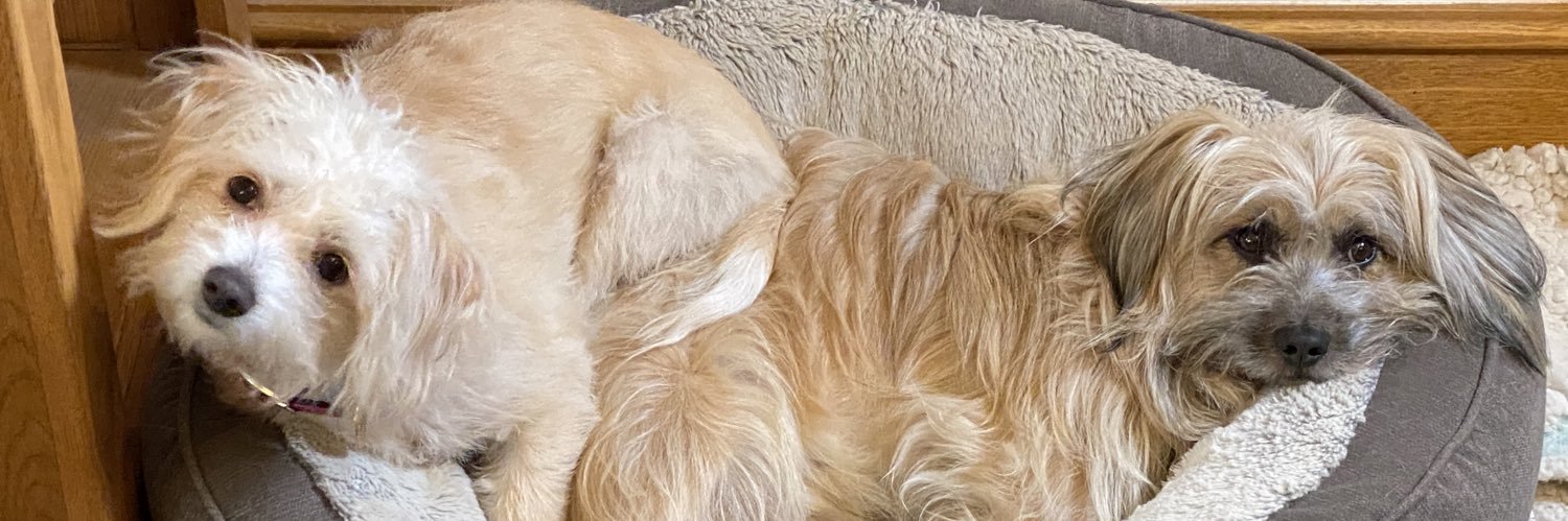 Katharina Kubrick.🇬🇧🇪🇺🇩🇪 banner