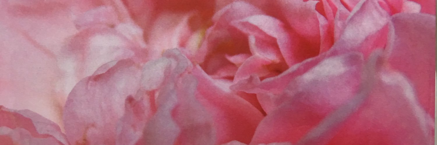 ysayo345's profile banner image