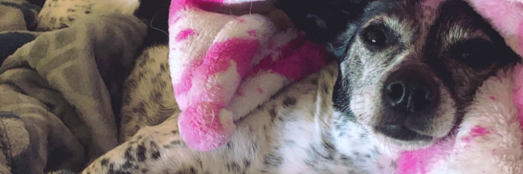 SarahSeamen's profile banner image