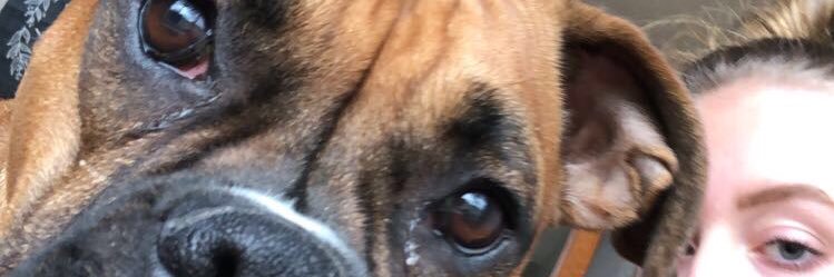 RitchieElise's profile banner image