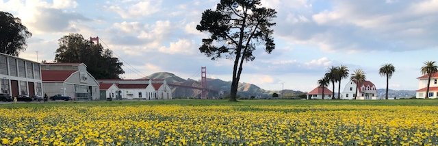 Maria Streshinsky banner